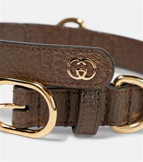 collare gatto gucci|Gucci designer dog collars.